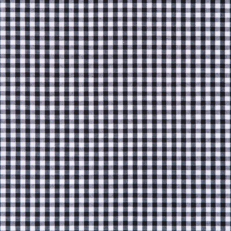 2420-W831-0081