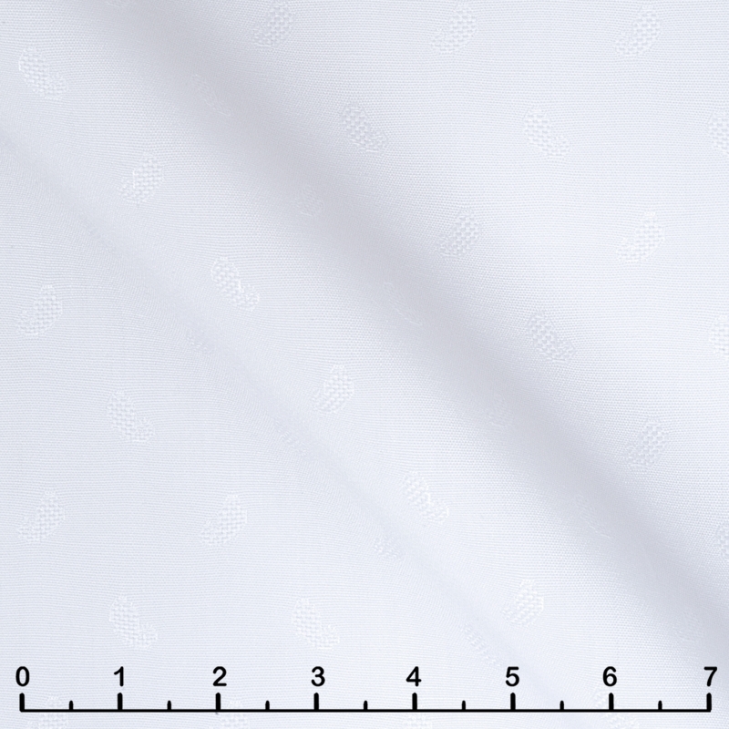 2750-W172-0101