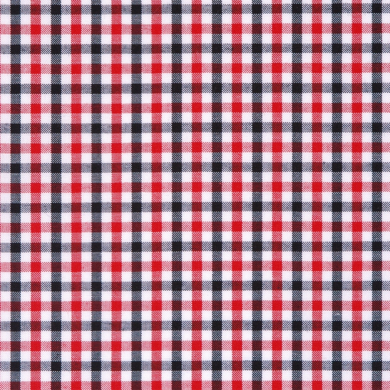 2420-W021-0081