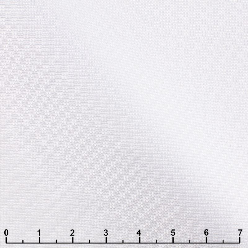 3095-W10900-0101